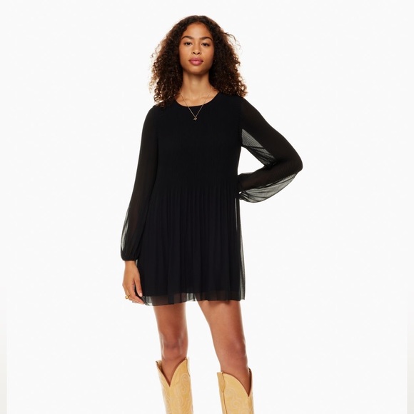 Aritzia Dresses & Skirts - NWT Aritzia Daydreamer Mini Dress